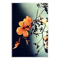 Ступел индустрии осветени подробни флорални венчелистчета снимка Без рамка изкуство печат стена изкуство, дизайн от Лил Рю