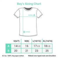 Ирландия баскетбол - олимпийски игри - Рио - Флаг Момче Младежки тениска на сивата тениска