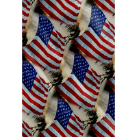 4-ти юли Мъжка хавайска риза САЩ национален флаг риза чай графични щампи риза яка и и 3Д печат улица ежедневно къс ръкав печат облекло облекло Реколта