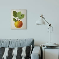 Ступел индустрии реколта плодове ябълка Живопис супер платно стена изкуство от Вижън студио